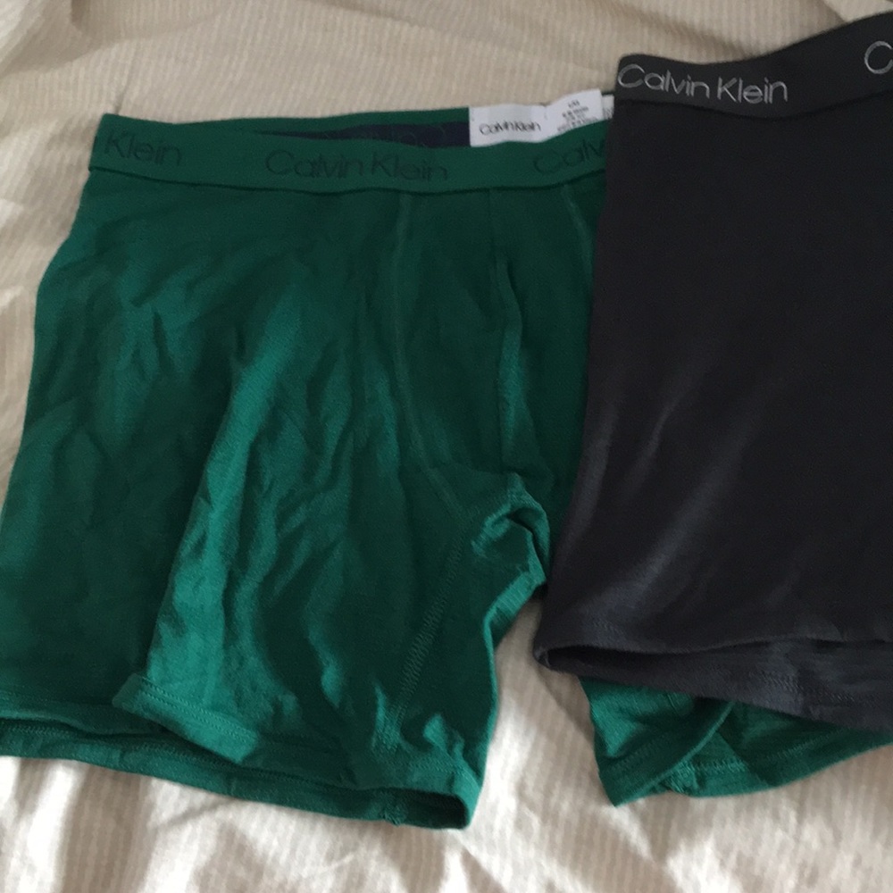 2 Calvin Klein Shimmery Briefs Large